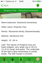 Tree profile description